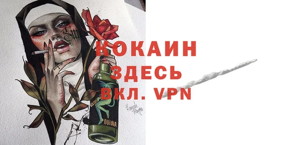винт Абаза