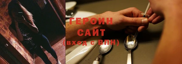 индика Инта