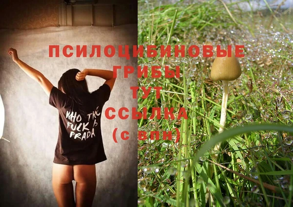 винт Абаза