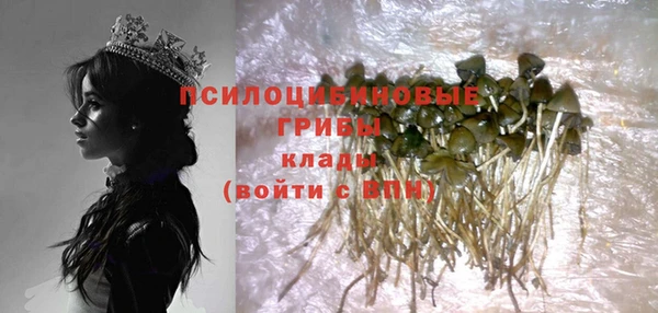 ECSTASY Абинск