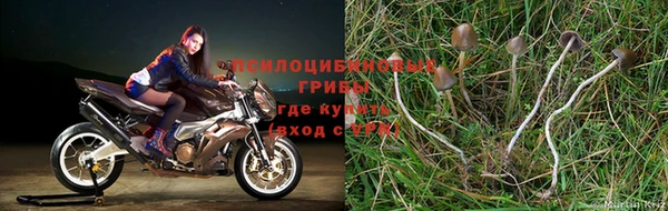 винт Абаза