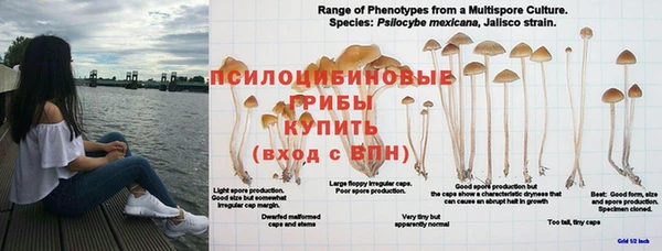 ECSTASY Абинск