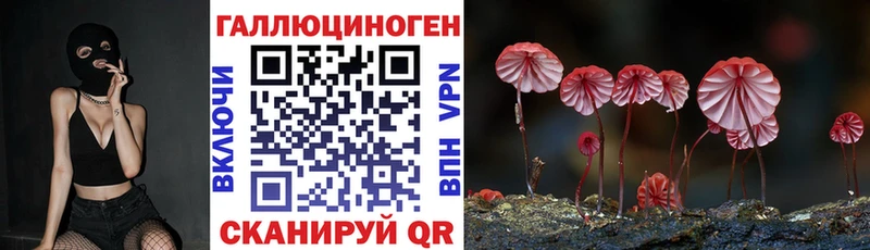 Псилоцибиновые грибы мицелий  Калининград 