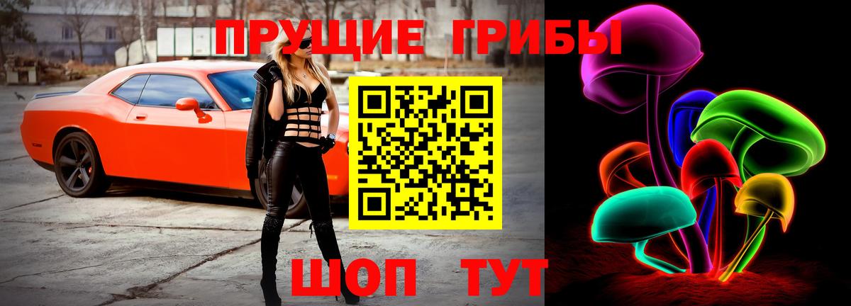 хочу наркоту  Вход с VPN  Калининград  Псилоцибиновые грибы Magic Shrooms 
